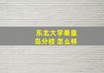 东北大学秦皇岛分校 怎么样